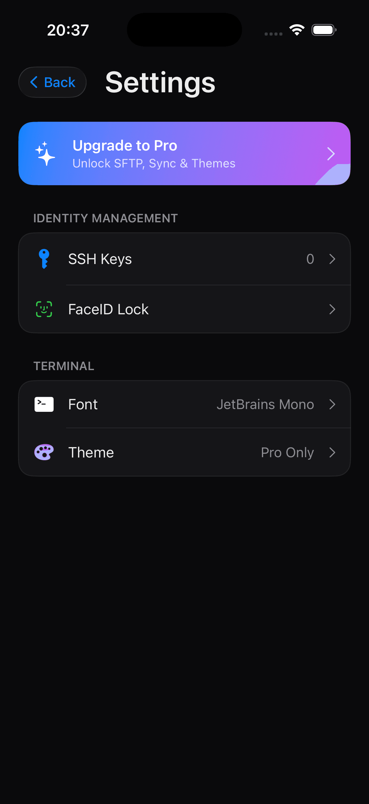 Tapssh app screenshot showing the SSH terminal interface on an iPhone with visual SFTP browser